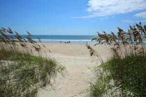 Une plage avec un sentier sablonneux menant à l’eau, bordée de hautes herbes.