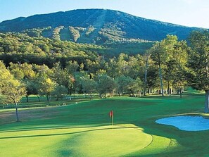 Golf - Fireplace, Ski-Okemo, Apple Trees, Piano, Amazing Views, Firepit, Priory, Pool, Fields, Theatre! (Weston)