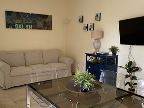 TV, DVD player, books