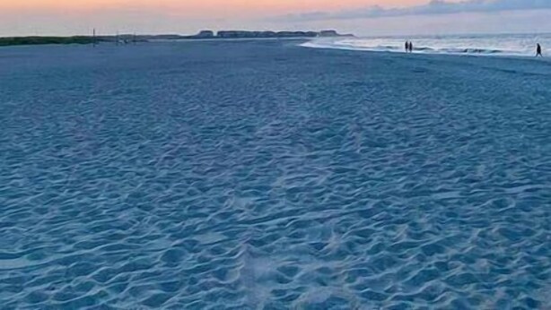 Una spiaggia con acque calme e cielo sereno.