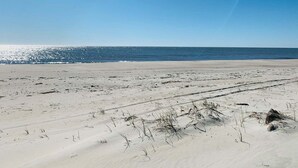 Una playa con arena y vegetación escasa.