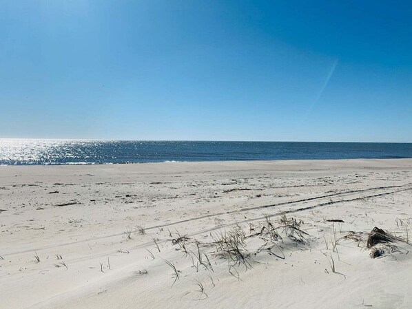 Une plage de sable avec une végétation clairsemée.