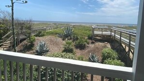 Vista de una zona costera con un paseo marítimo de madera, diversa vegetación y cielo despejado.