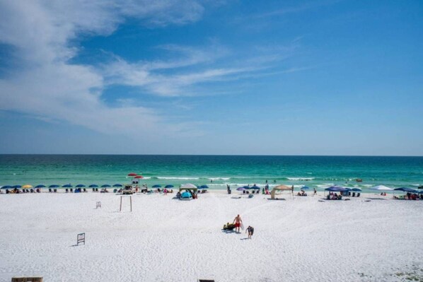 On the beach, motor boating, fishing