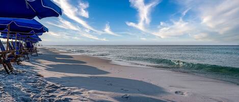 モーターボート、釣り