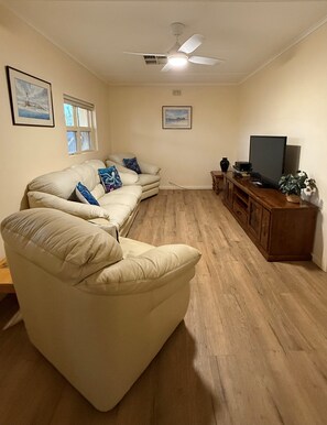 TV, video games, DVD player, video library