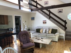 TV, Netflix, DVD player, books