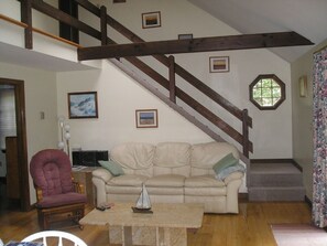 TV, Netflix, DVD player, books