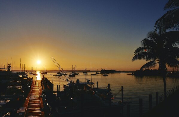 A sunset view from a dock with boats and a palm tree.