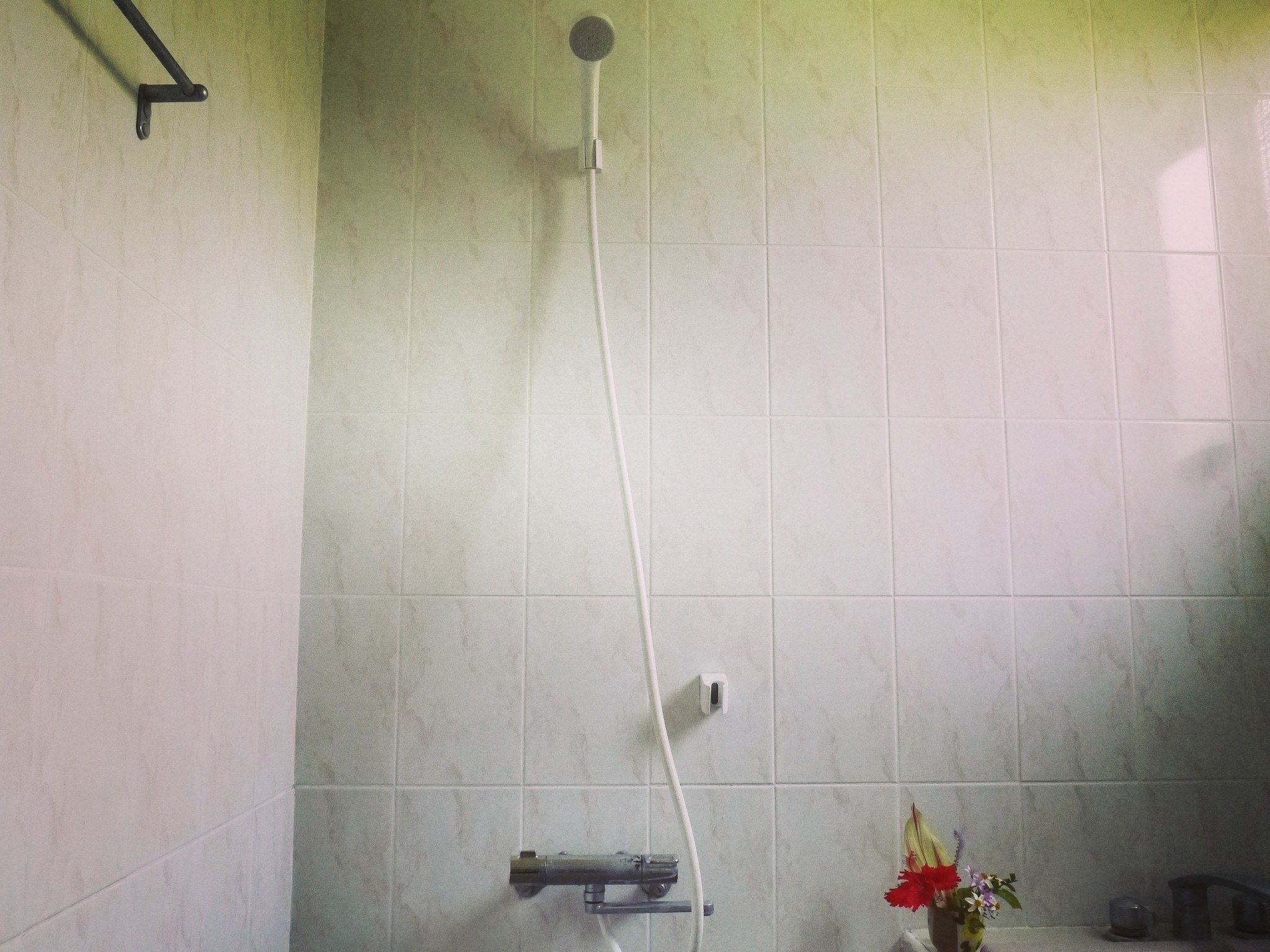Eine Dusche mit Handbrause und Wandarmatur.