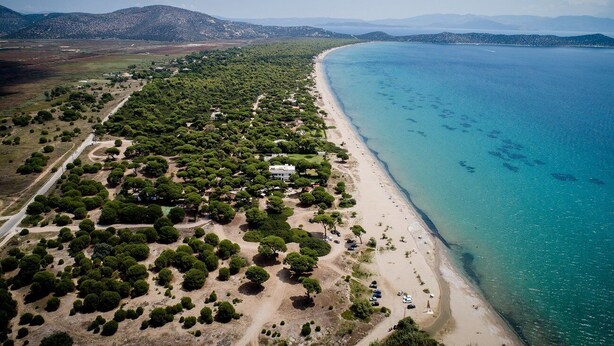An aerial view of a coastal area with a beach, dense greenery, and a few buildings. - villa with great seaview (Schinias)