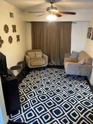 تلفزيون، مشغل دي في دي