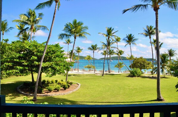 Property grounds - Location, Location, Location - Right on The Beach - Simply The Closest and Best (ST. Thomas, USVI)