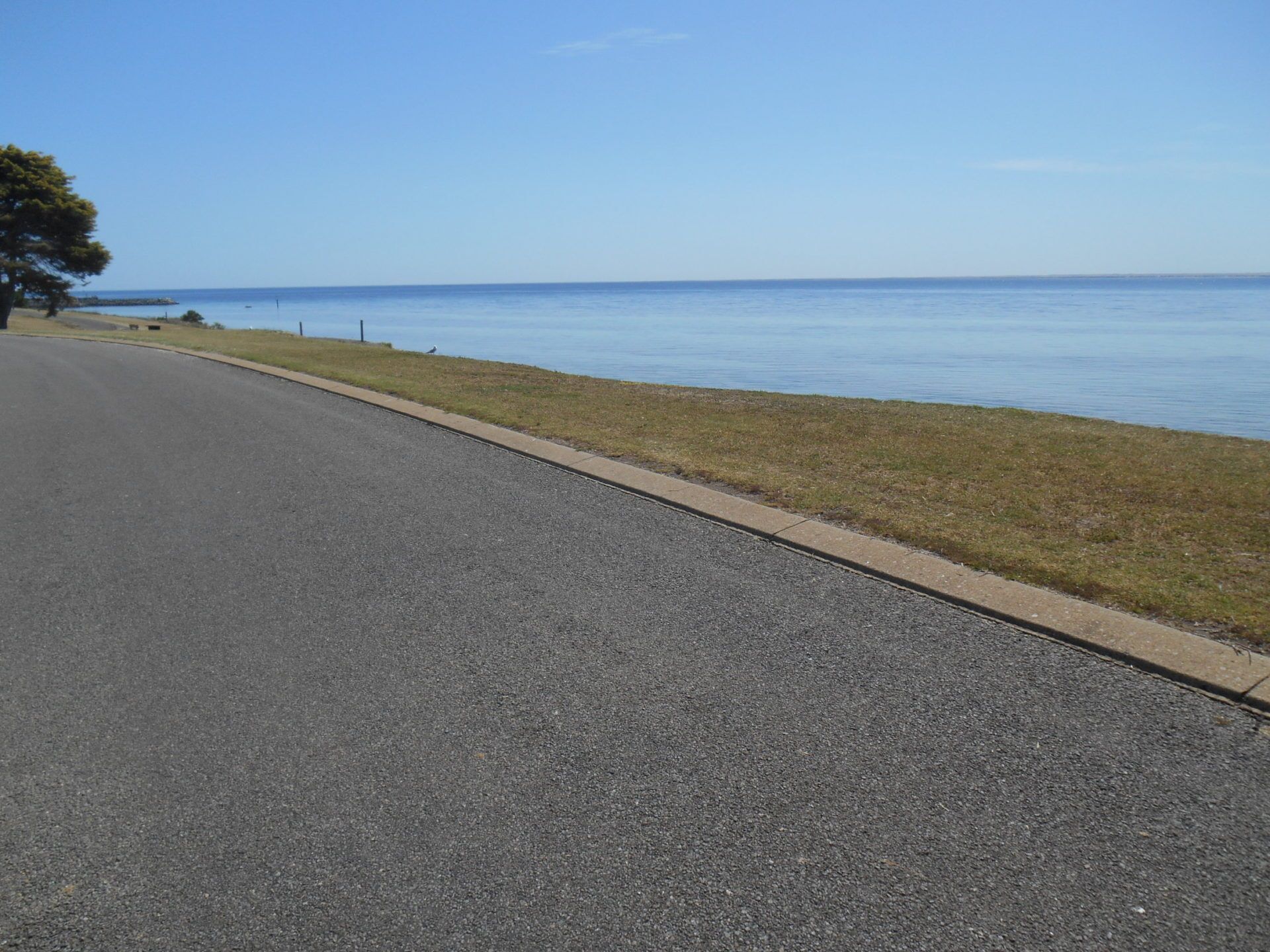 Edith's    Magnificent Views Dog friendly   Off Peak Special! — image 20