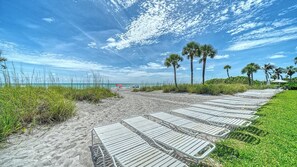 Une plage avec des chaises longues, des palmiers et un ciel dégagé.