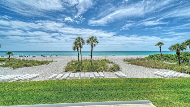 Blick auf einen Strand mit Palmen, einem Sandweg und blauem Himmel.