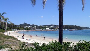 Uma praia com palmeiras, céu azul límpido e pessoas aproveitando a água.