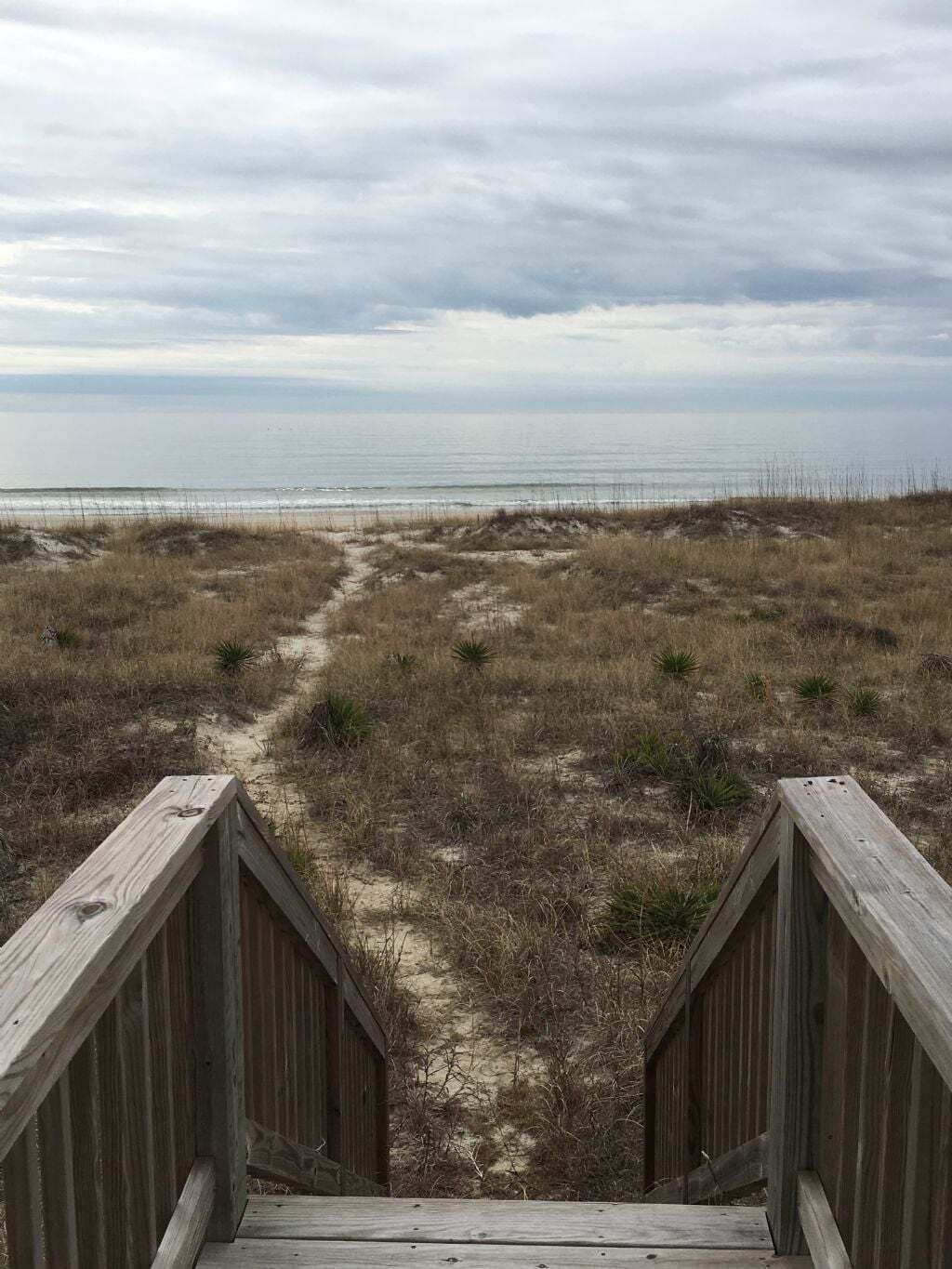 Àrea exterior de l'allotjament