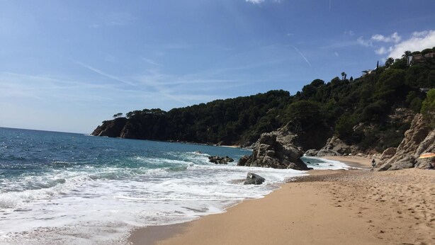 Une plage de sable bordée de vagues, de falaises rocheuses et d’une végétation luxuriante.
