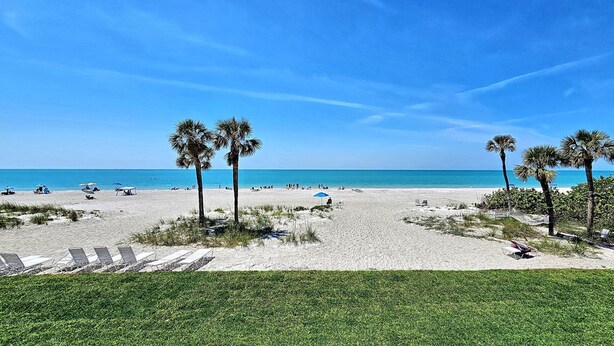 A beach with palm trees, sun loungers, and umbrellas.