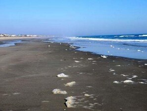 Beach nearby - Compass Rose / 109 Sunshine: Spacious 4BR house in beach in Holden Beach, NC. (Holden Beach)