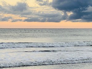 Une plage avec des vagues et des oiseaux dans le ciel.