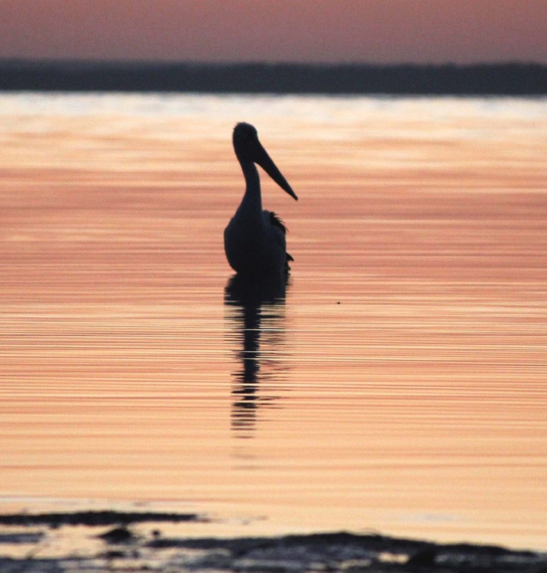 Cheers   -   Sea views    Free Wifi    On the Esplanade — image 4