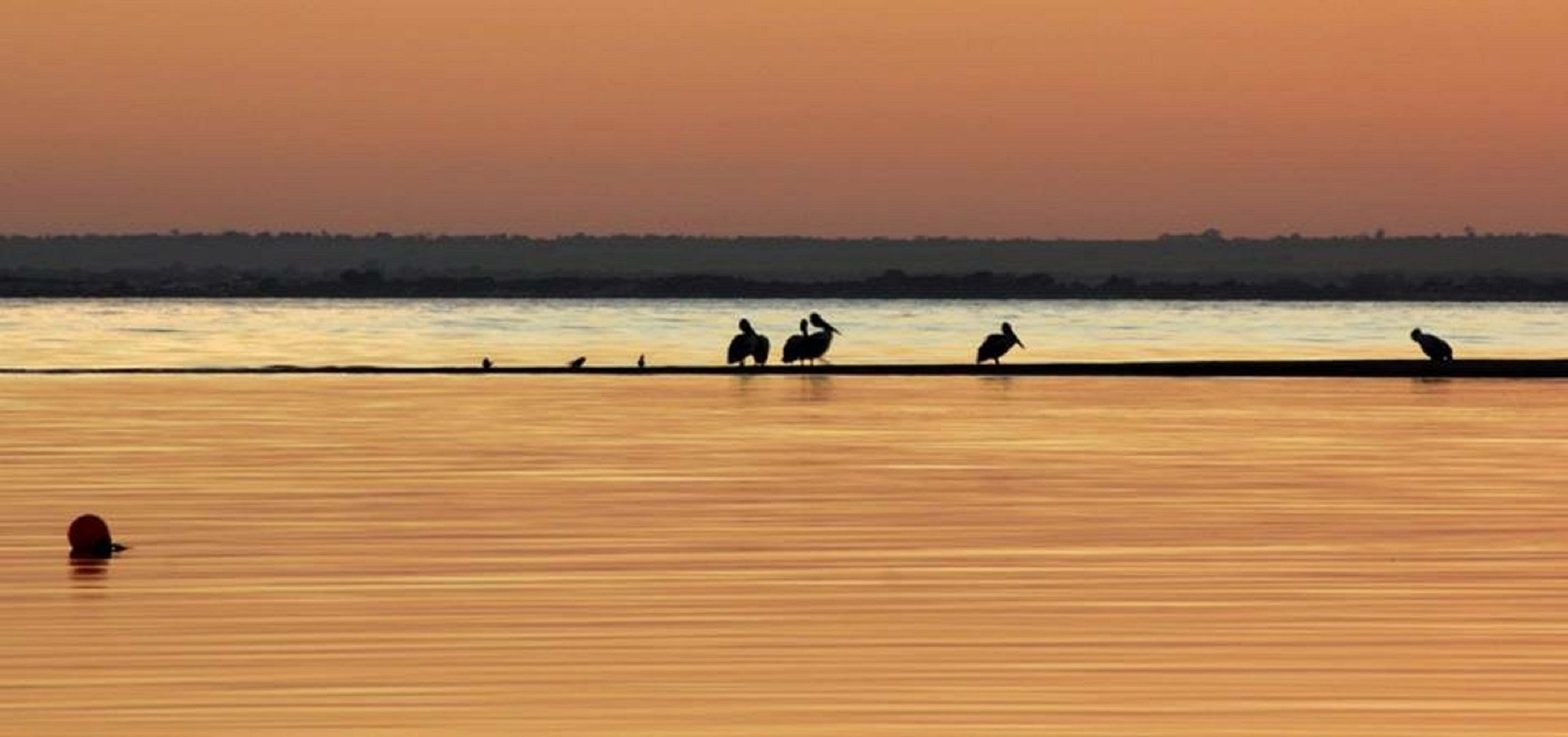 Cheers   -   Sea views    Free Wifi    On the Esplanade — image 19