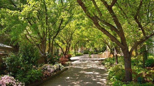 Villa Sorelle, lämmitetty sisäuima-allas, poreamme ja kaasuliesi