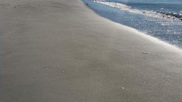 Una playa con cielo despejado y mar tranquilo.