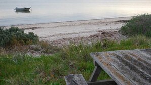 Une plage avec un bateau à l’eau, un banc en bois et une végétation clairsemée.