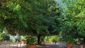 A garden patio with a large tree, outdoor seating, and potted plants. - Agriturismo Luggiano Apartment "AIA" (Vinci)