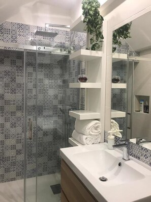 Shower, hair dryer, bidet, towels