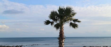 Quang cảnh nhìn từ nơi lưu trú