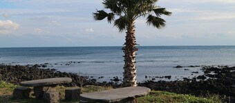 Blue Island Guesthouse - Hostel