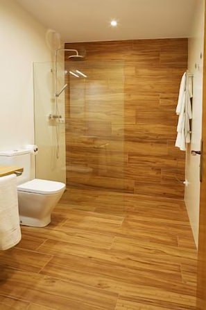 Shower, towels, toilet paper