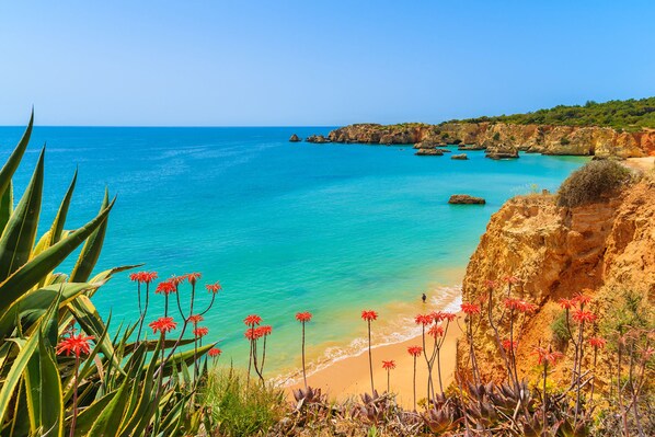 Plage à proximité
