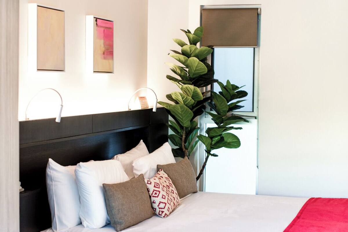 Een moderne hotelkamer met een groot bed, een donker hoofdeinde, een potplant en een raam met luxaflex.