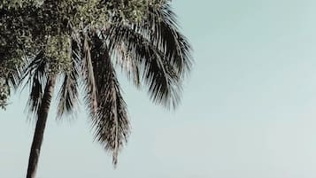 On the beach, sun loungers, beach umbrellas, beach towels