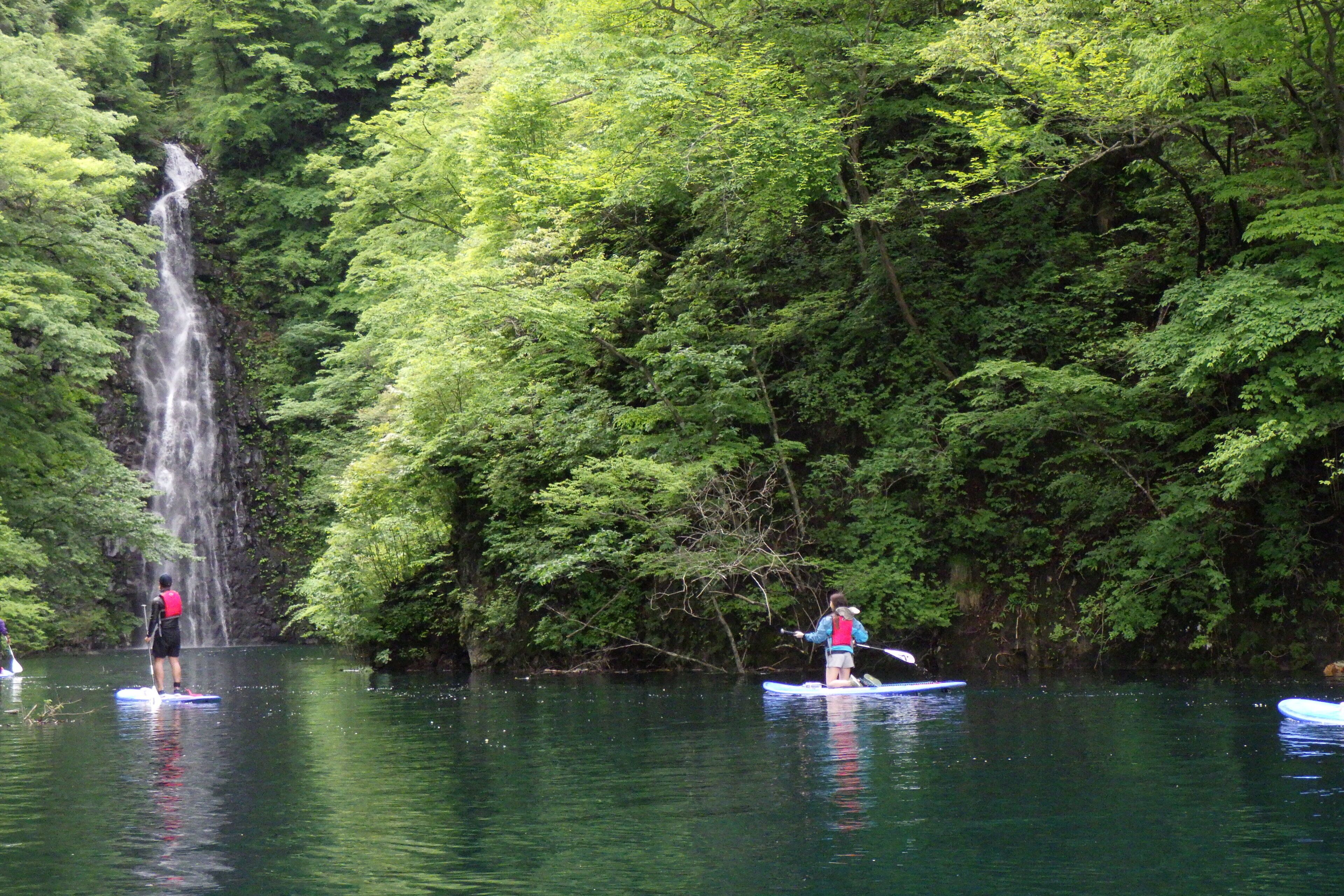A waterfall surrounded by dense forest, with people paddleboarding.