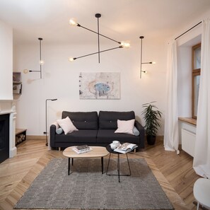 Smart TV, fireplace, books