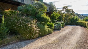 A gravel driveway leading to a stone building with a garden full of shrubs and flowers.
