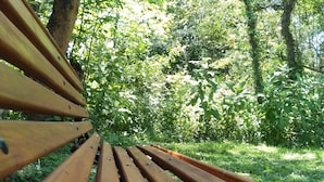 A wooden bench with metal rivets, surrounded by lush green foliage. - Allegra Casas de Campo (Vaqueros)