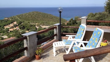 Terras