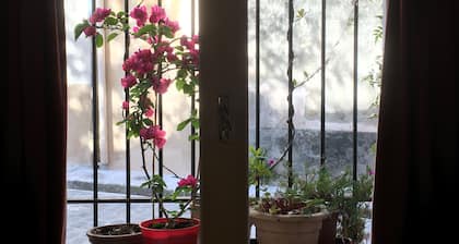 Ceret Centre; Wine bar 20m away; Boulagerie 50m away