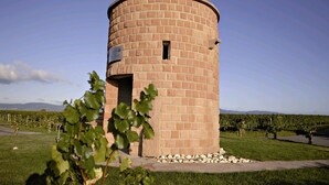 Estructura cilíndrica de ladrillo con una pequeña ventana y una placa, rodeada por un viñedo y un césped.