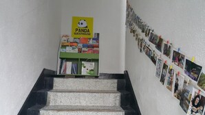 Una escalera con el cartel de Panda Guesthouse y una pared decorada con fotografías.