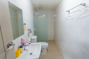 Shower, free toiletries, hair dryer, towels