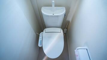 A small, modern bathroom with a toilet, a flush handle, and a toilet paper holder.