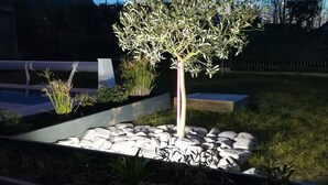 Un jardin aménagé avec un arbre, des rochers et un sentier.
